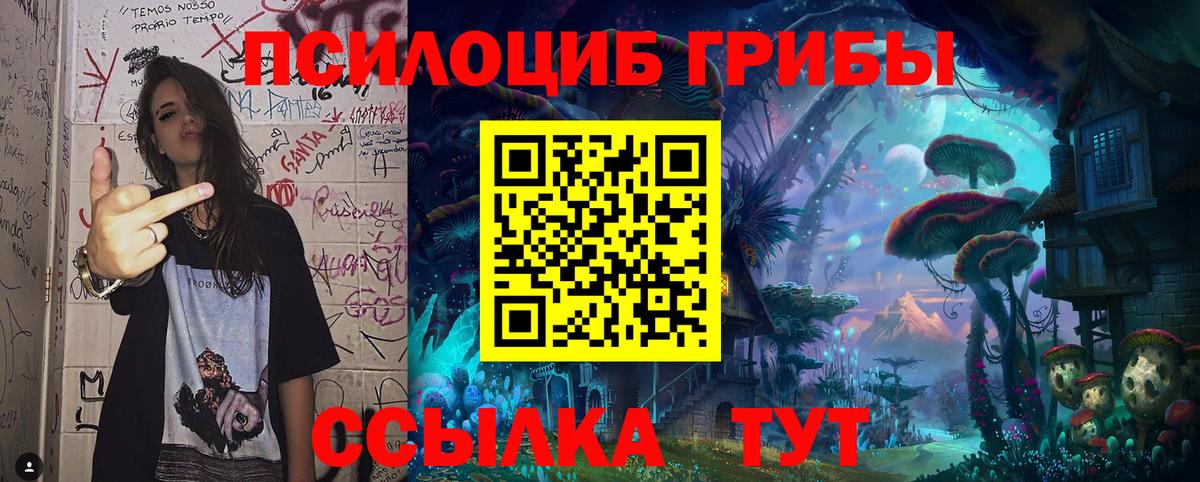Галлюциногенные грибы MAGIC MUSHROOMS Краснознаменск