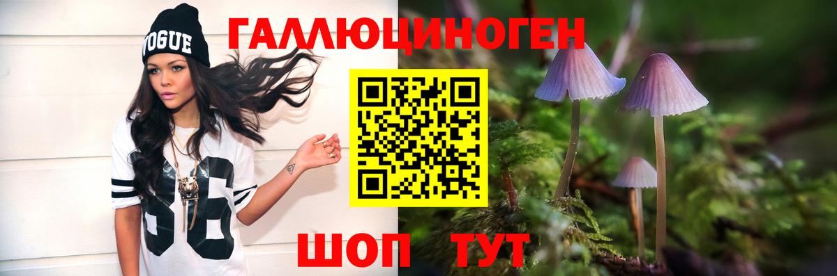 Псилоцибиновые грибы прущие грибы  Вход с VPN  Краснознаменск 